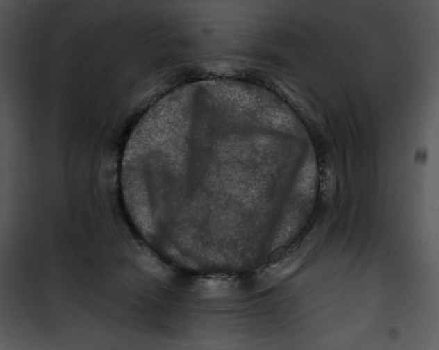 X0000100890466200807220955