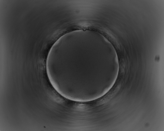 X0000100890467200807220955