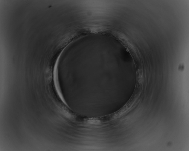 X0000100890471200807220956