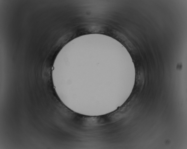 X0000100890473200807220956