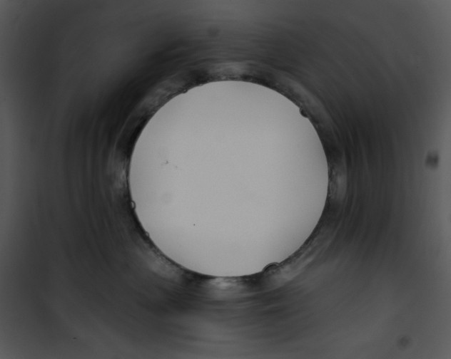 X0000100890477200807220956