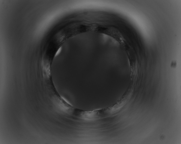 X0000100890479200807220956