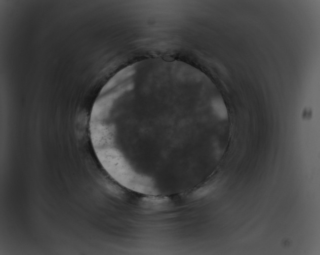 X0000100890480200807220956