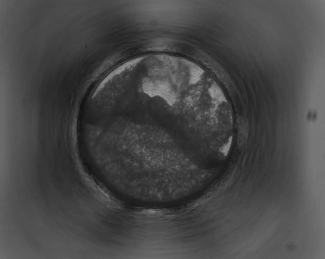 X0000100890482200807220955