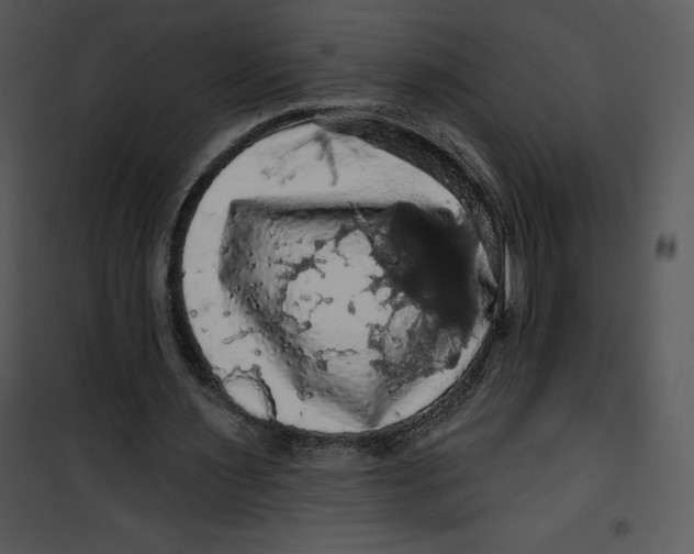 X0000100890483200807220955