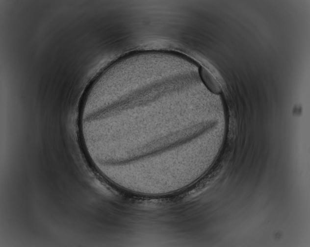 X0000100890485200807220955