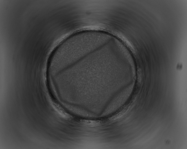 X0000100890486200807220955