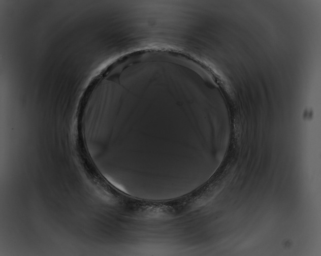 X0000100890488200807220955