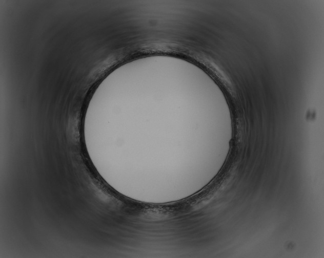 X0000100890489200807220955