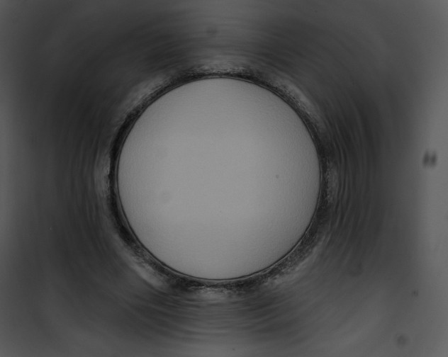 X0000100890490200807220955