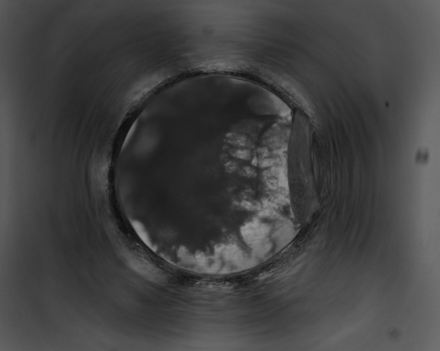 X0000100890491200807220955