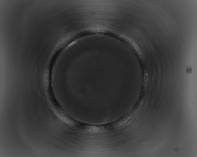 X0000100890494200807220955