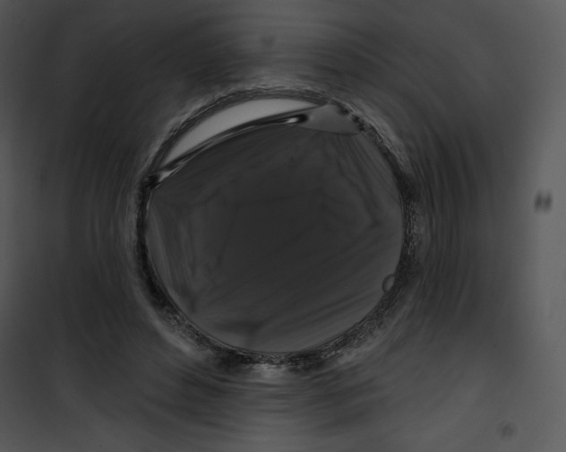 X0000100890496200807220955