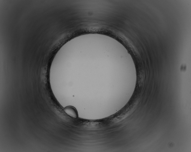 X0000100890497200807220955