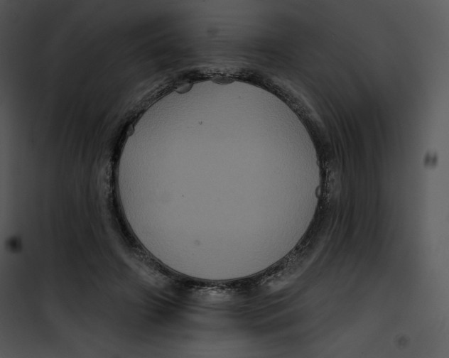 X0000100890498200807220955