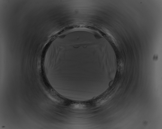 X0000100890500200807220954