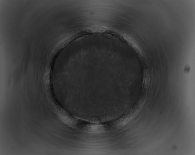 X0000100890501200807220954