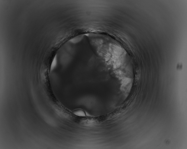 X0000100890503200807220954