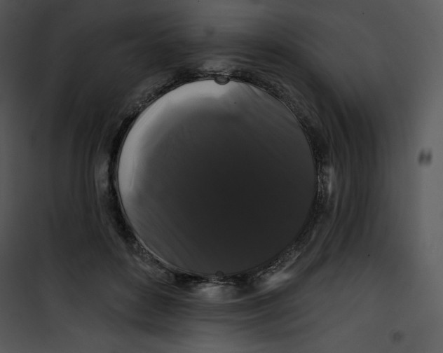 X0000100890504200807220954