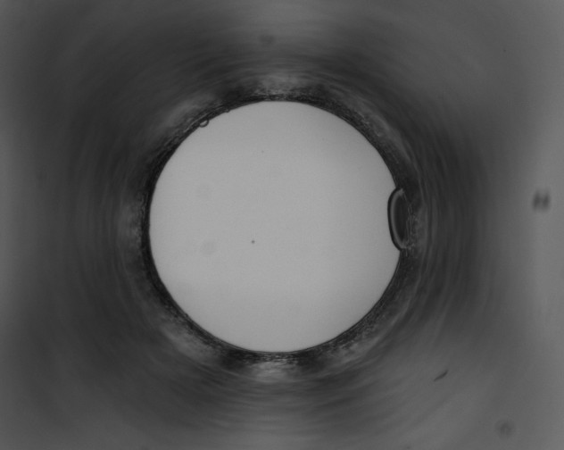 X0000100890505200807220954