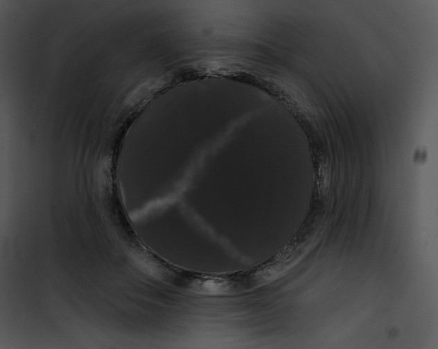 X0000100890506200807220954