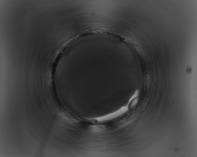 X0000100890508200807220954