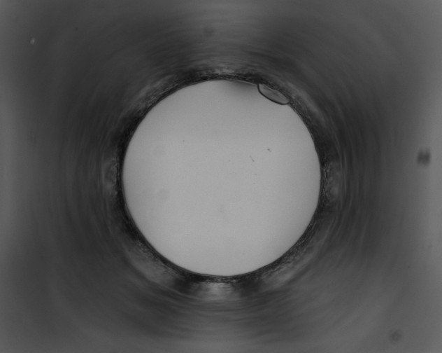 X0000100890509200807220954