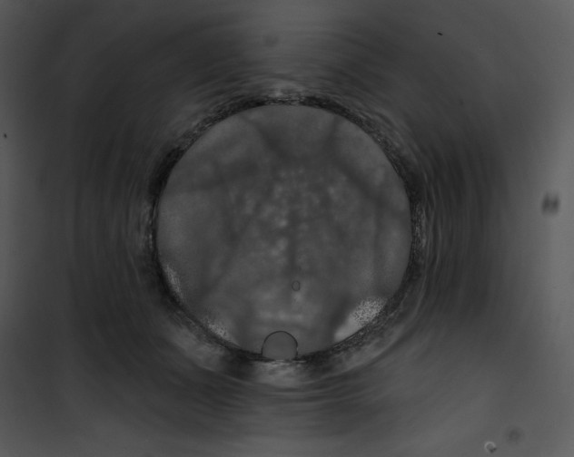 X0000100890511200807220954