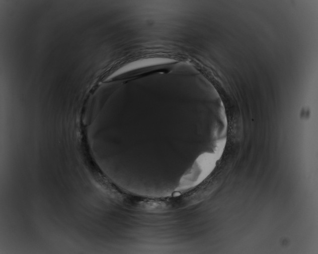 X0000100890512200807220954