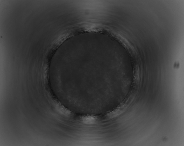 X0000100890513200807220954