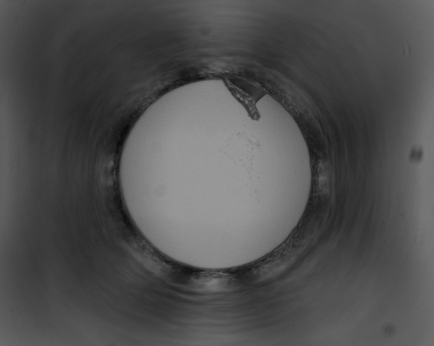 X0000100890514200807220954