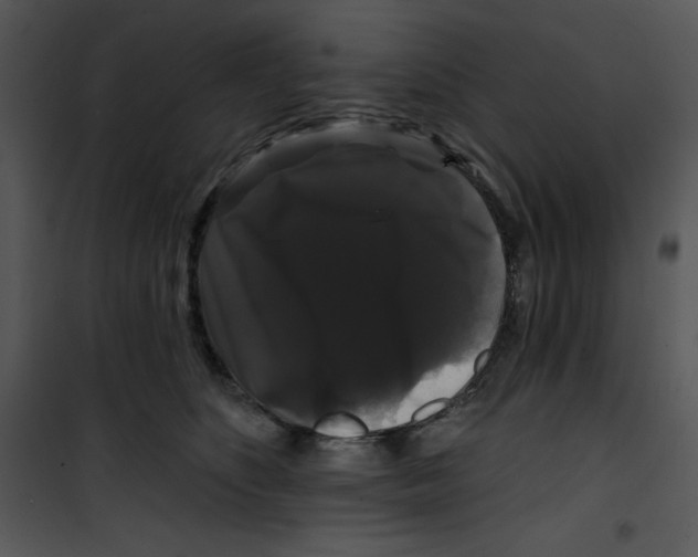 X0000100890516200807220954