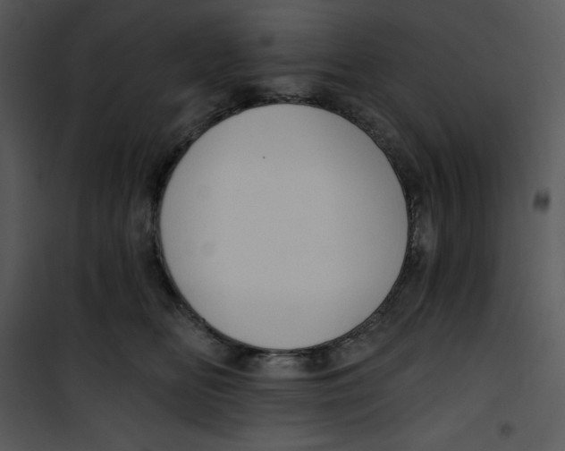 X0000100890518200807220954