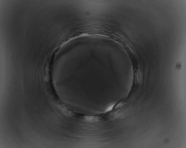 X0000100890520200807220954