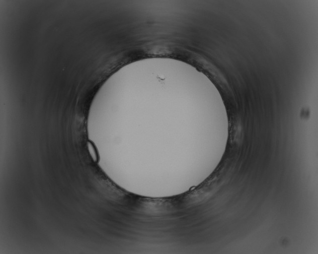 X0000100890521200807220954