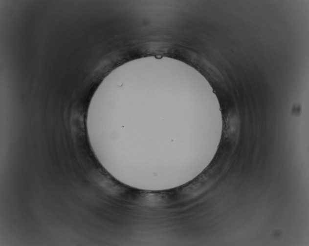 X0000100890522200807220954