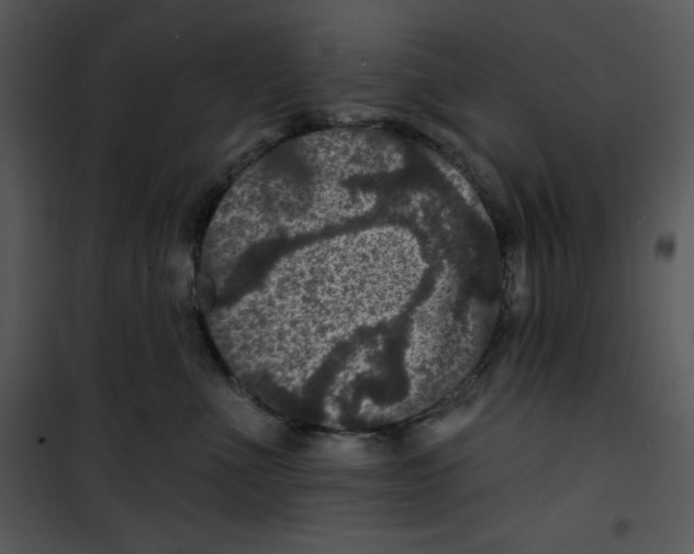 X0000100890523200807220954