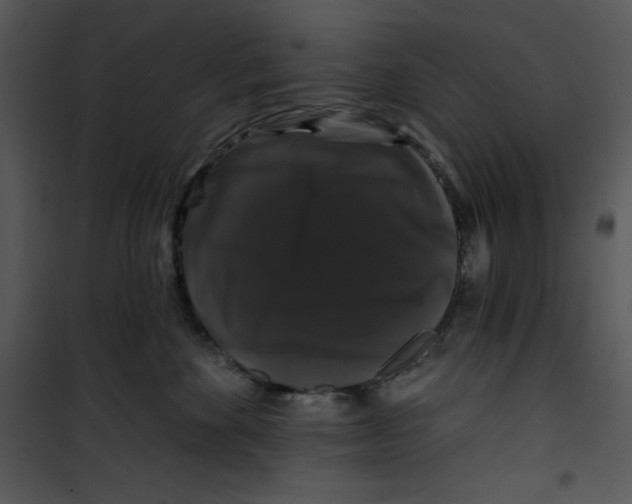 X0000100890524200807220954