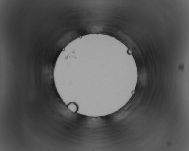 X0000100890525200807220954