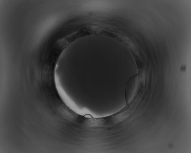 X0000100890526200807220954