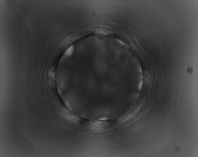 X0000100890527200807220954