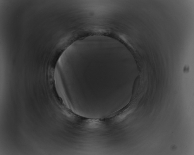 X0000100890528200807220954