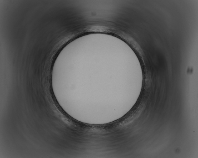 X0000100890529200807220953