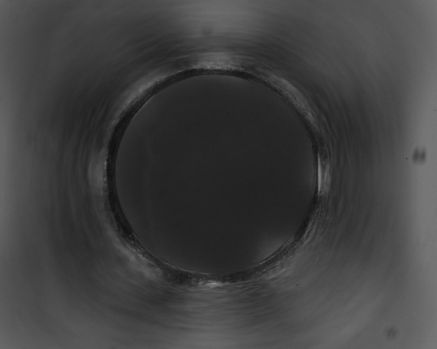 X0000100890531200807220953