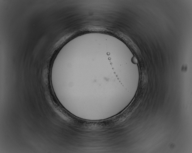 X0000100890533200807220953