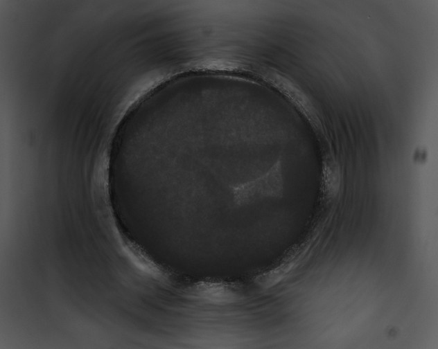 X0000100890534200807220953