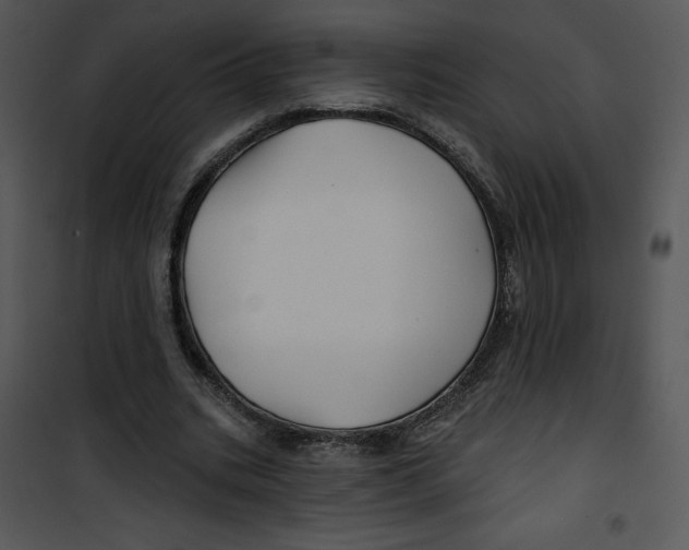 X0000100890535200807220953