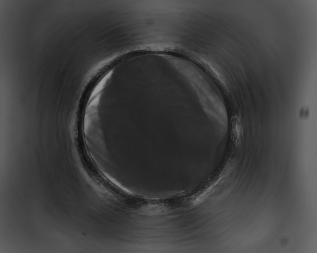 X0000100890536200807220954