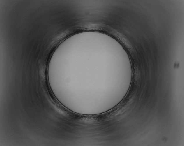 X0000100890537200807220954