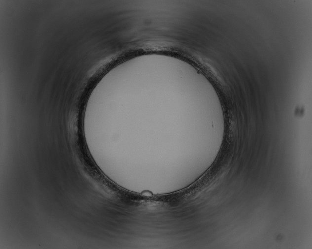 X0000100890539200807220954